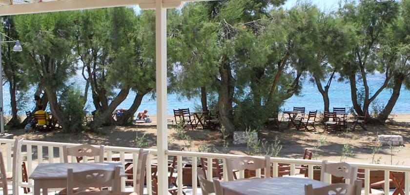 Grecia, Piso Livadi - Hotel Paros Inn Seafront 4