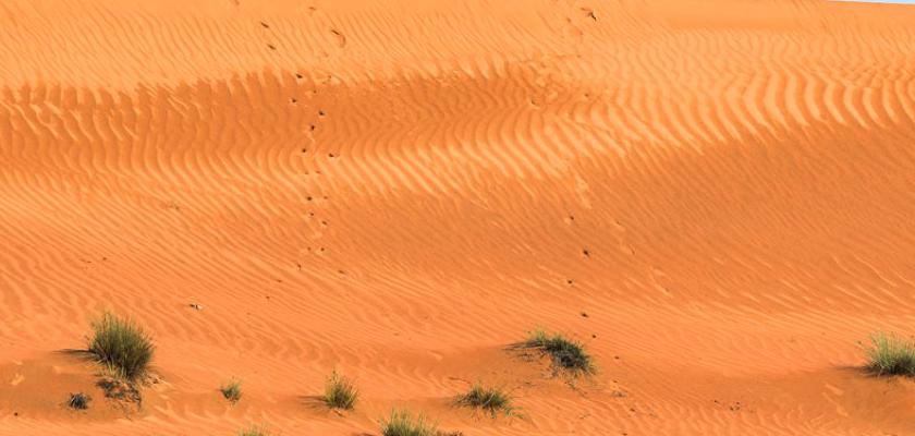 Oman, Oman - Voyager Desert 3