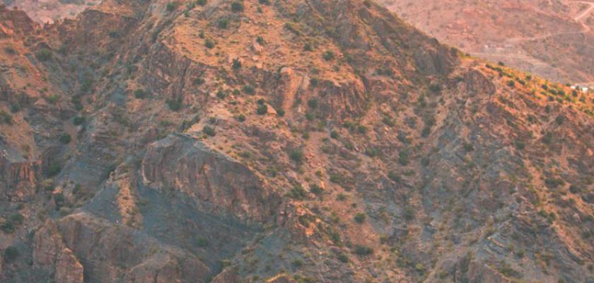 Oman, Oman - Voyager Desert 5