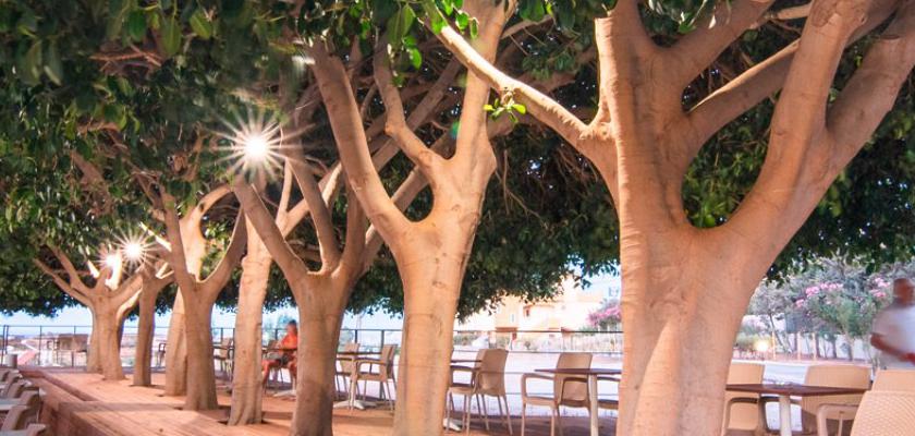 Grecia, Aghia Pelaghia - Hotel Chrissy's Paradise 5