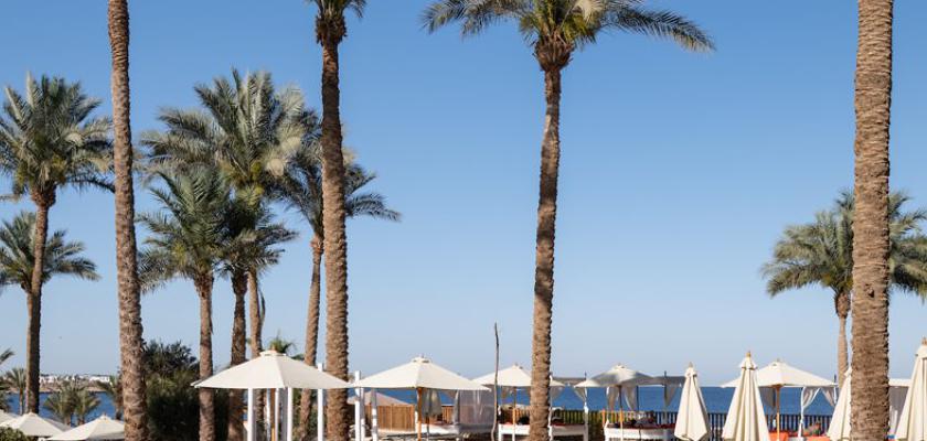 Mar Rosso, El Hadaba - The Grand Hotel Sharm 3