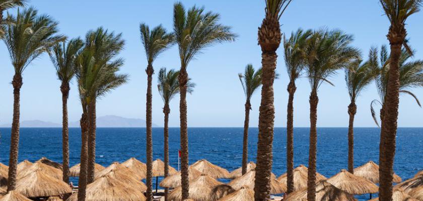 Mar Rosso, El Hadaba - The Grand Hotel Sharm 4