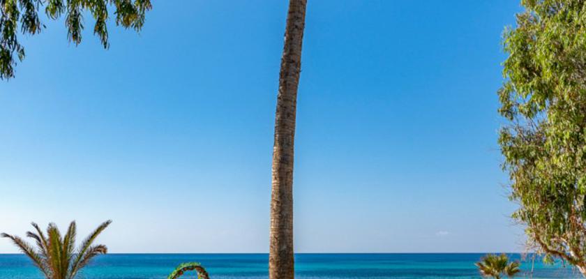 Tunisia, Hammamet - Mediterranee Thalasso Golf Hotel 4