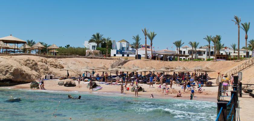 Mar Rosso, Ras Umm Sid - Amphoras Beach Resort 0