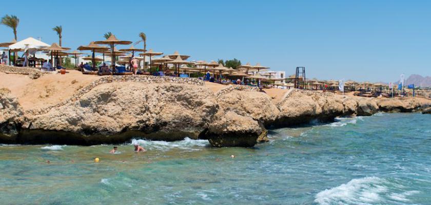 Mar Rosso, Ras Umm Sid - Amphoras Beach Resort 4