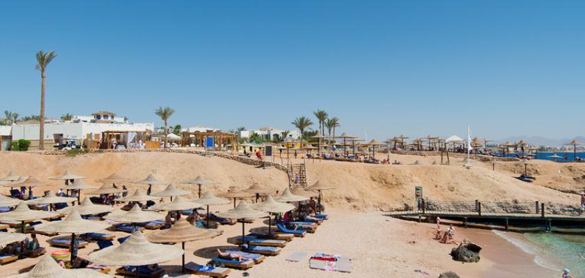 Mar Rosso, Ras Umm Sid - Amphoras Beach Resort 5