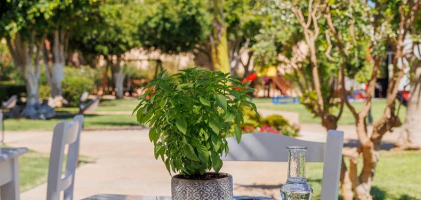 Grecia, Anissaras - Anissa Beach 2