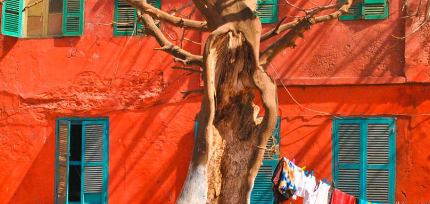 Senegal, Senegal - Intour L'anima Del Senegal 4