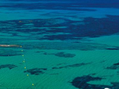 Spagna, Playa d'Es Figueral - Alpiclub Invisa Cala Verde