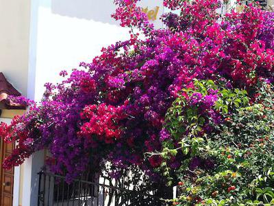 Grecia, Pythagorion - Hotel Sama'