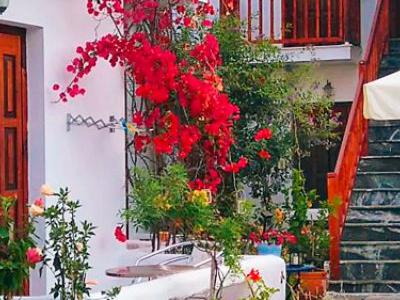 Grecia, Città di Skiathos - Hotel Petite Morfo