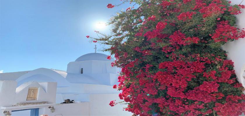 Grecia, Amorgos - Appartamenti Agnadi 3