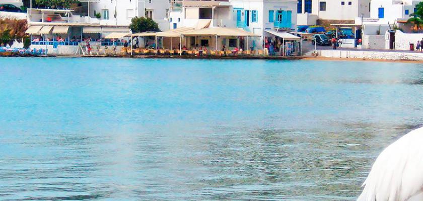 Grecia, Città di Mykonos - Pensione Florance 4