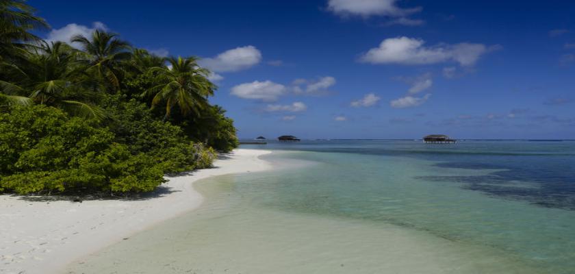 Maldive, Male - Medhufushi Island Resort 4