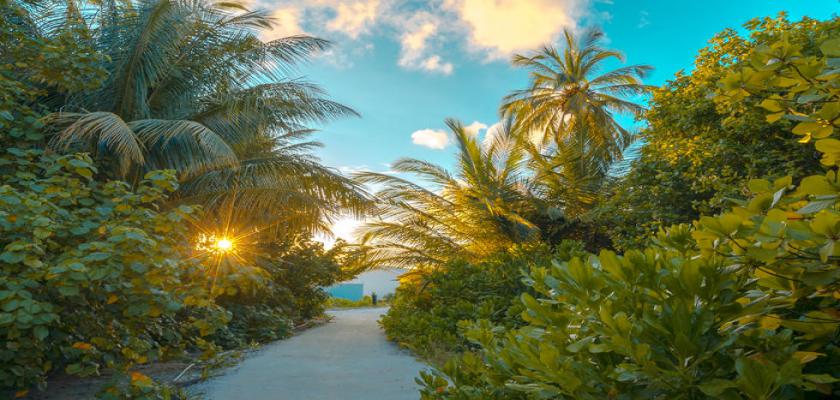 Maldive, Atollo di Laamu - Rahaa Laamu Island Resort 1