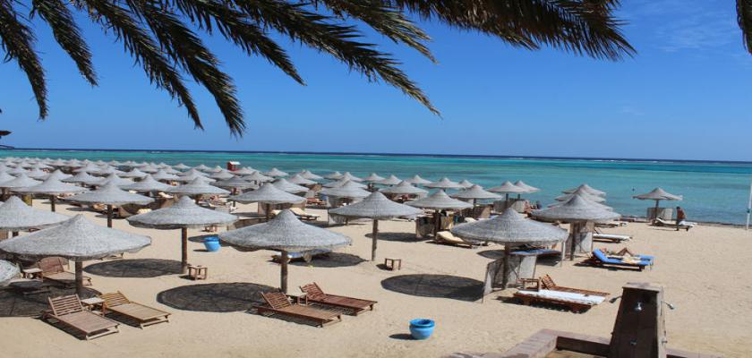 Mar Rosso, Marsa Alam - Dream Lagoon Beach Resort 1
