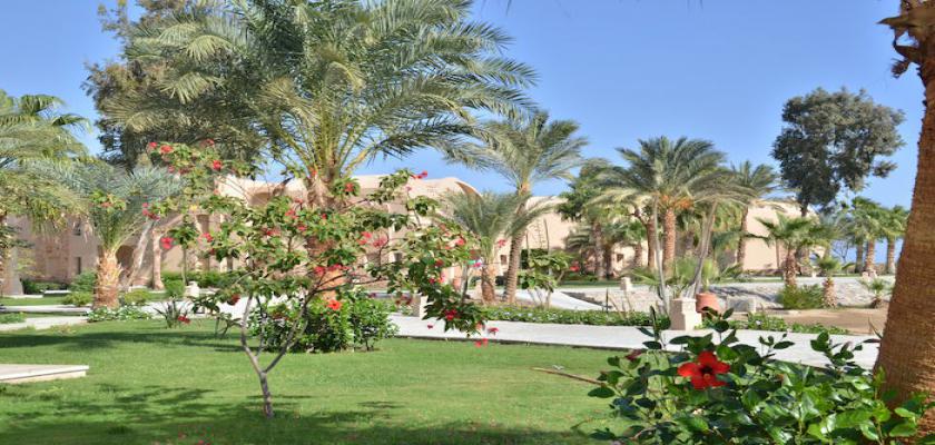 Mar Rosso, Marsa Alam - Shams Alam Beach Resort 2