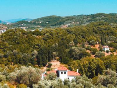 Grecia, Kokkari - Alpiselect Arion
