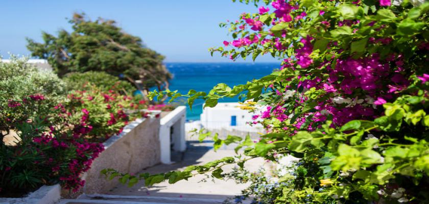Grecia, Agios Stefanos - Alkistis Beach 5