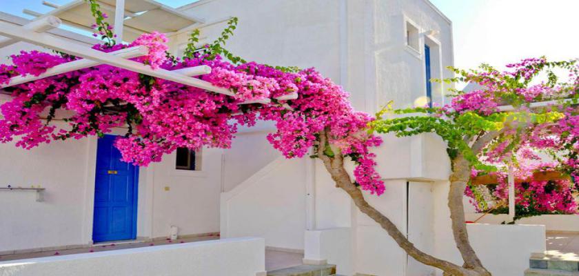 Grecia, Pollonia - Glaronisia 4