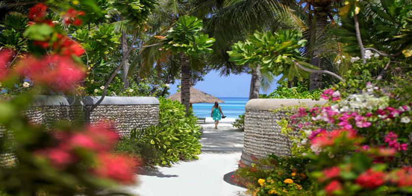Maldive, Atollo di Malé Nord - Four Seasons Kuda Huraa 2