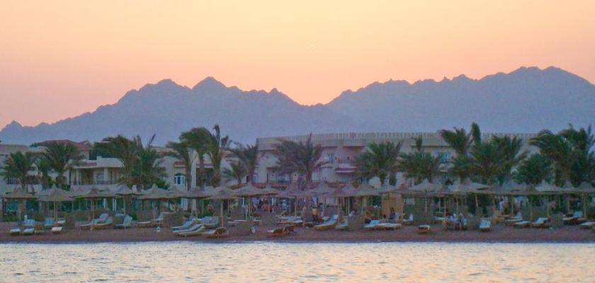 Egitto Mar Rosso, Sharm el Sheikh - Royal Albatros Moderna Beach Resort & Spa 1