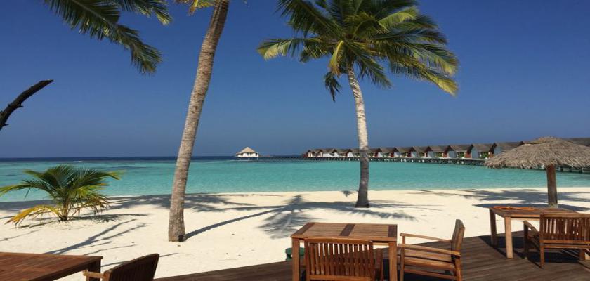 Maldive, Male - Furaveri Island Resort & Spa 4