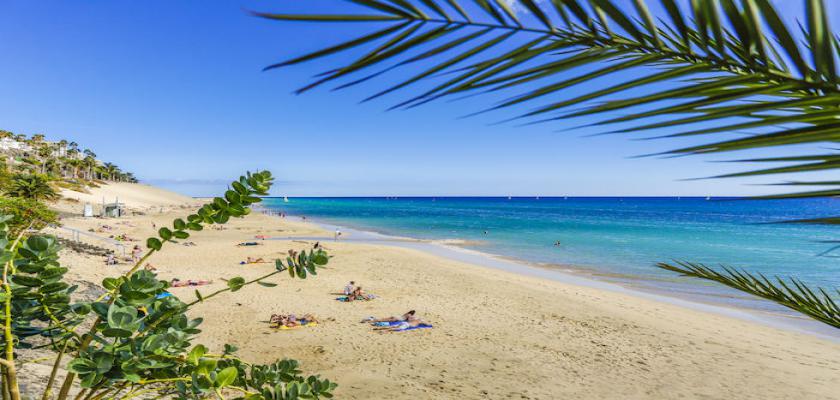 Spagna, Playa de Jandia - Bravo Fuerteventura 1