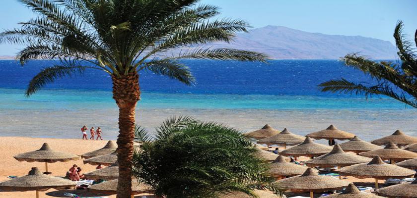 Egitto Mar Rosso, Sharm el Sheikh - Baron Palms 1