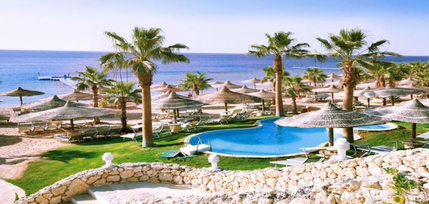 Mar Rosso, Sharm El Sheikh - Seaclub Savoy Sharm El Sheikh 1