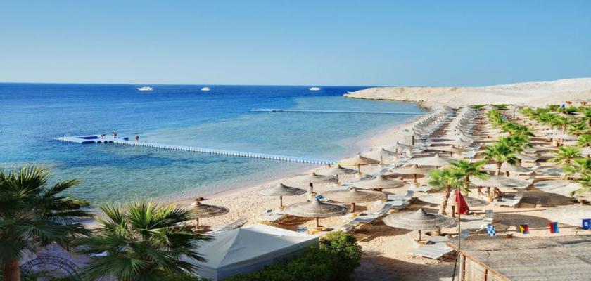 Mar Rosso, Sharm El Sheikh - Seaclub Savoy Sharm El Sheikh 2