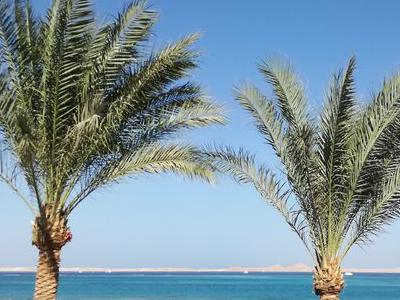 Egitto Mar Rosso, Sharm el Sheikh - Seaclub Jaz Belvedere