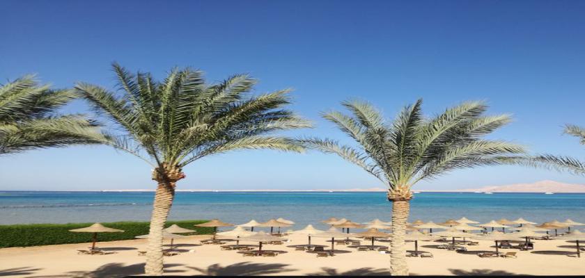 Egitto Mar Rosso, Sharm el Sheikh - Seaclub Jaz Belvedere 0 Small