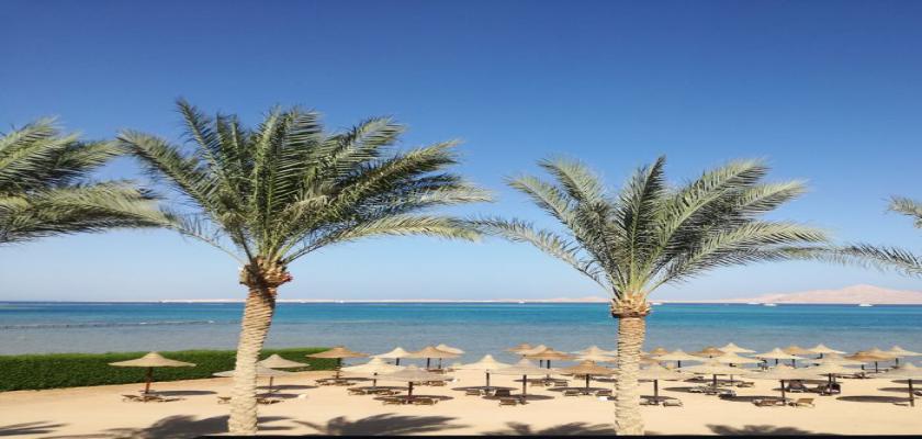 Mar Rosso, Ras Nasrani - Searesort Jaz Belvedere 0