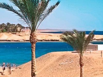 Mar Rosso, Marsa Alam - Searesort Jaz Lamaya Resort