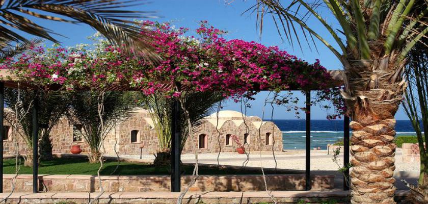 Egitto Mar Rosso, Marsa Alam - Movenpick Resort El Quseir 4 Small