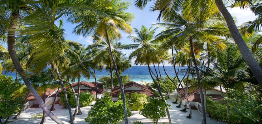 Maldive, Atollo di Ari Sud - Diamonds Thudufushi 4