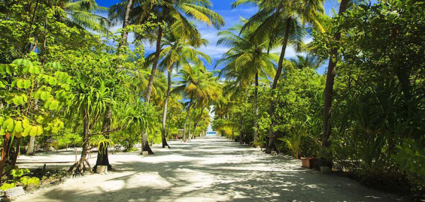 Maldive, Male - Seaclub Maayafushi 2
