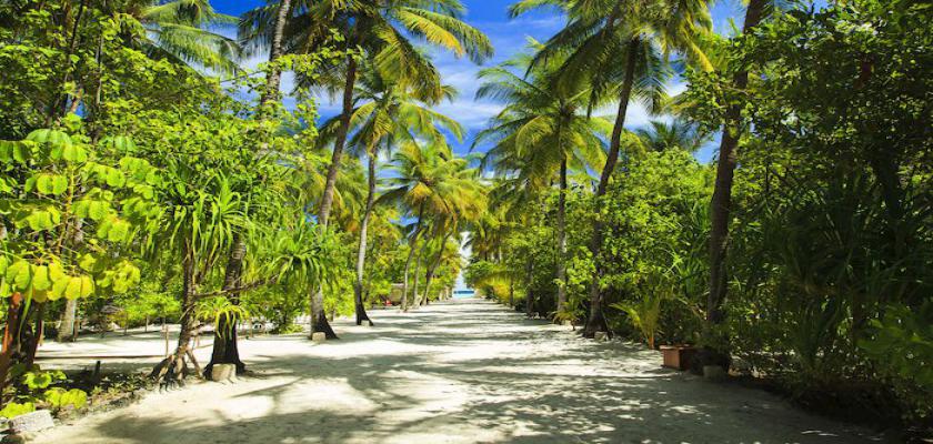 Maldive, Male - Seaclub Maayafushi 2