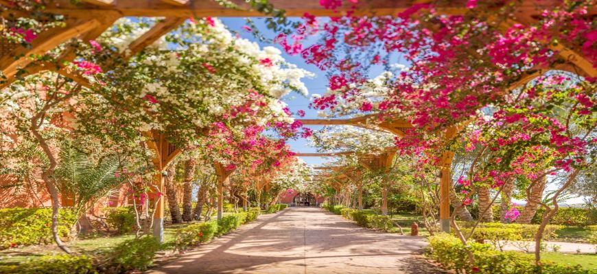 Egitto Mar Rosso, Marsa Alam - Veraclub Floriana Emerald Lagoon 27