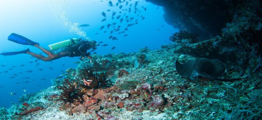 Maldive, Male - Veraclub Aaaveee Nature's Paradise 5