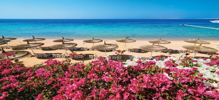 Egitto Mar Rosso, Sharm el Sheikh - Veraclub Reef Oasis Beach Resort 22