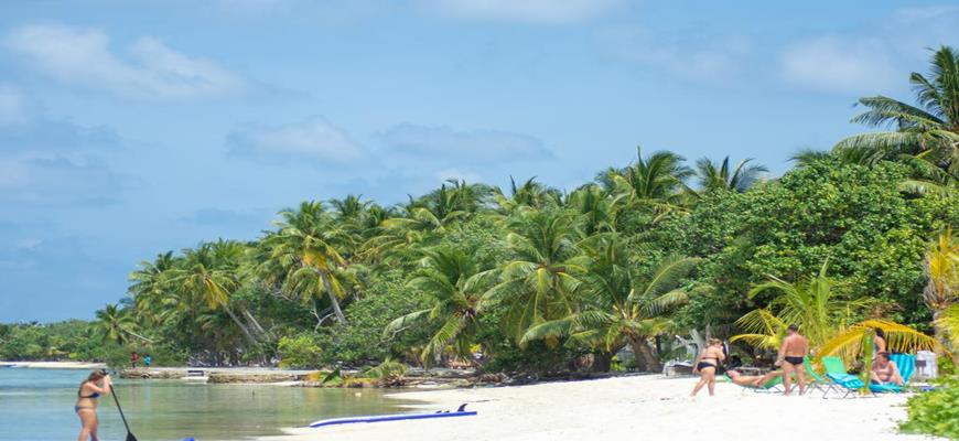 Maldive, Male - Dhiffushi Inn 1