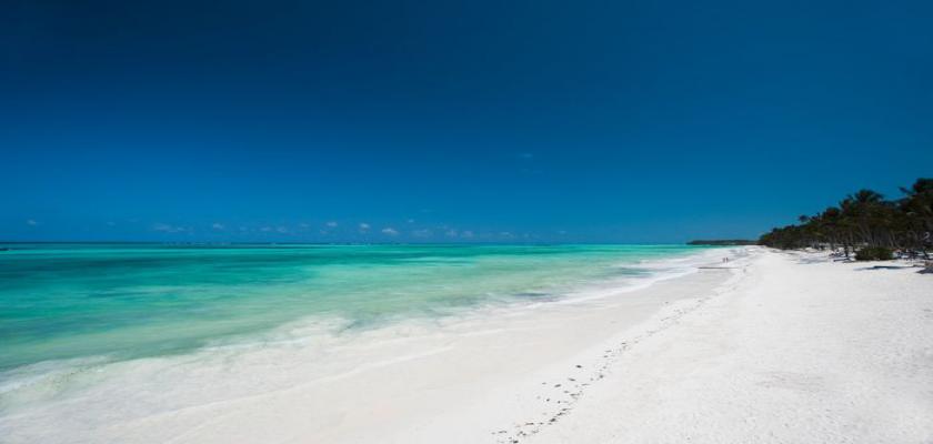 Zanzibar, Zanzibar - Seaclub Karafuu Beach Resort & Spa 0