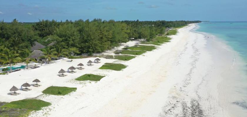 Zanzibar, Zanzibar - Searesort Amani Boutique Hotel 2