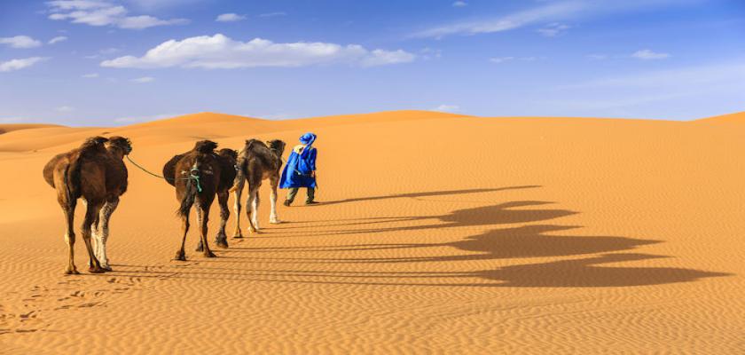 Marocco, Marocco - Intour Explore Grande Sud In 4x4 0