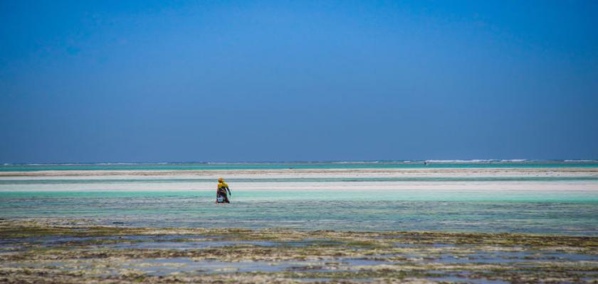 Zanzibar, Zanzibar - Warere Beach Hotel 5