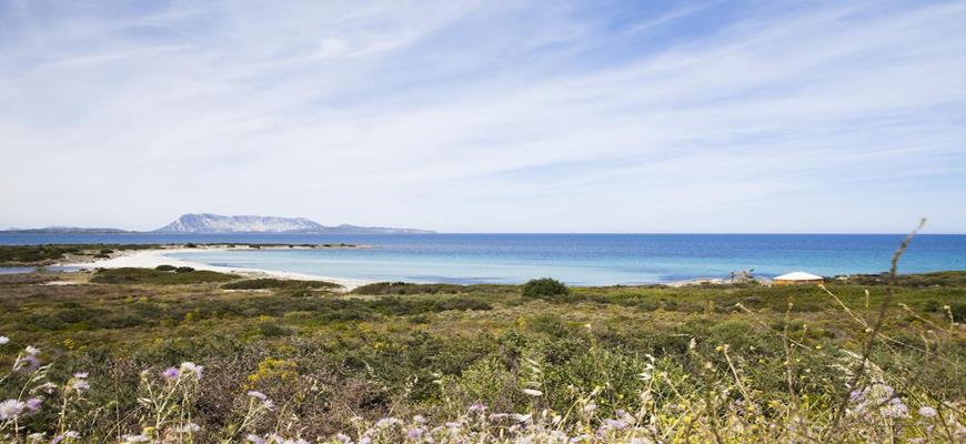 Sardegna, San Teodoro - Residence Approdo Verde 1