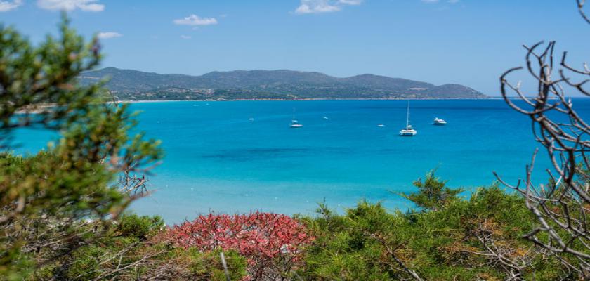 Italia, Sardegna - Pullman Timi Ama Sardegna 2