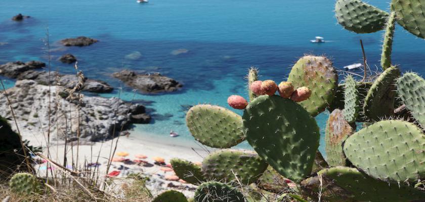 Calabria, Capo Vaticano - Searesort Blue Bay Resort 1